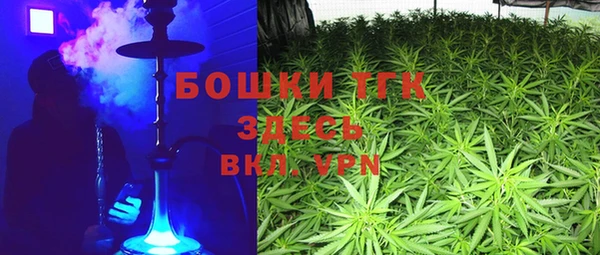 ПСИЛОЦИБИНОВЫЕ ГРИБЫ Алзамай