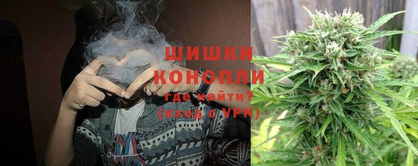 ПСИЛОЦИБИНОВЫЕ ГРИБЫ Алзамай