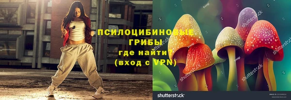 прущие крисы Алексеевка