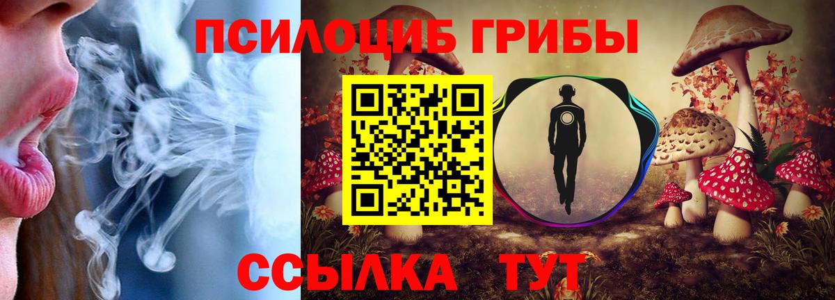 Галлюциногенные грибы Psilocybe Менделеевск